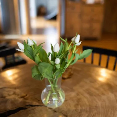 Apartament Blisko Szlaku *