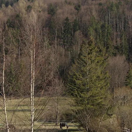 Apartament Blisko Szlaku Zakopane